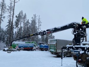 PUUTAVARANOSTURI LOGLIFT